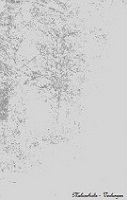 Melancholie - Verlangen
